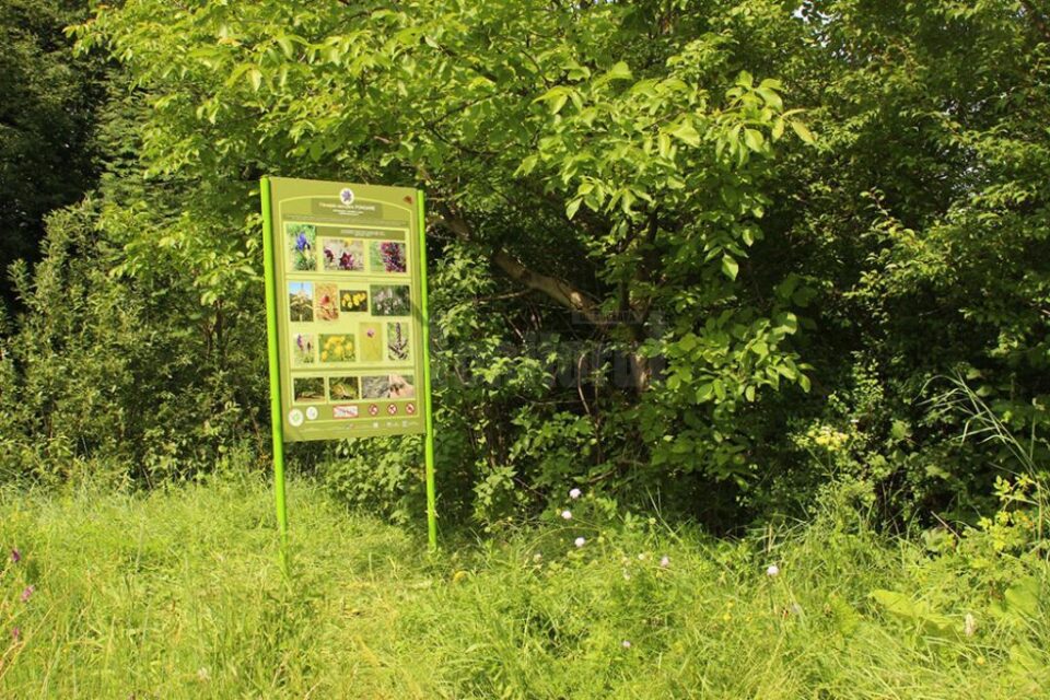 Ariile protejate de la Frumoasa și Ponoare își spun povestea
