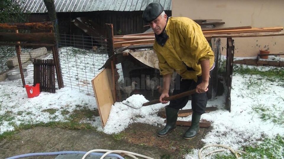 Pagube mari în zona Rădăuți-Milișăuți