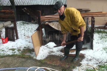 Pagube mari în zona Rădăuți-Milișăuți