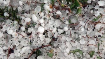Pagube imense în agricultură, după potopul cu grindină cu o intensitate fără precedent