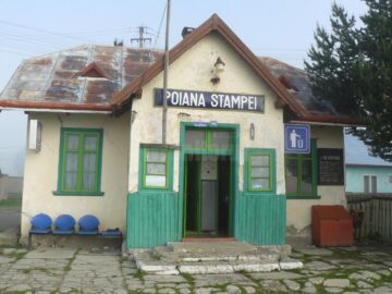 În doar câțiva ani, calea ferată Poiana Stampei - Dornișoara s-a transformat într-o mică pădure