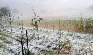 Dezastrul rămas în urmă pe terenurile agricole