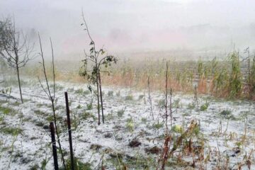 Dezastrul rămas în urmă pe terenurile agricole