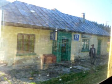 În doar câțiva ani, calea ferată Poiana Stampei - Dornișoara s-a transformat într-o mică pădure