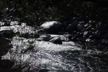 „Din Stulpicani”