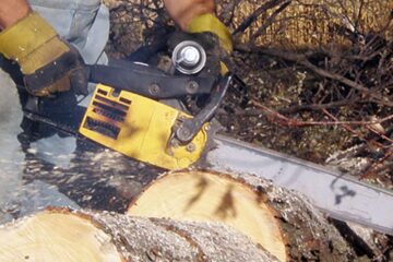 „Viața stulpicănenilor”