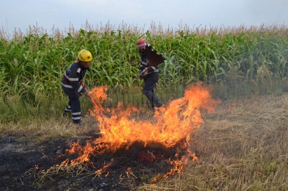 Cinci incendii de vegetație uscată într-o singură zi