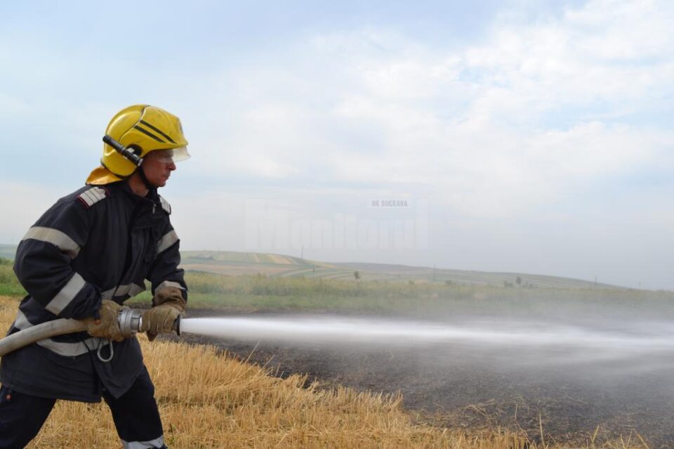 Cinci incendii de vegetație uscată într-o singură zi