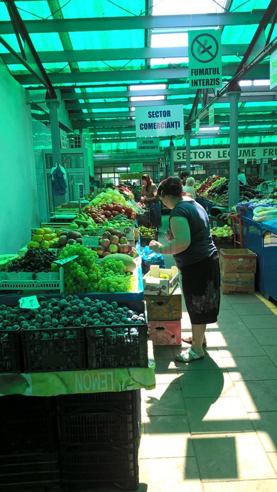 Problema verdelui intens din Piața Centrală, rezolvată prin montarea de luminatoare