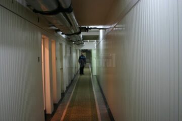 Tânărul a ajuns în arestul Inspectoratului de Poliție Județean (IPJ) Suceava, unde a petrecut 24 de ore, sub acuzația că a cultivat canabis în spatele casei, într-o seră