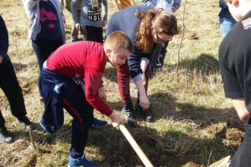 Activități din proiectul „Patrula Eco”