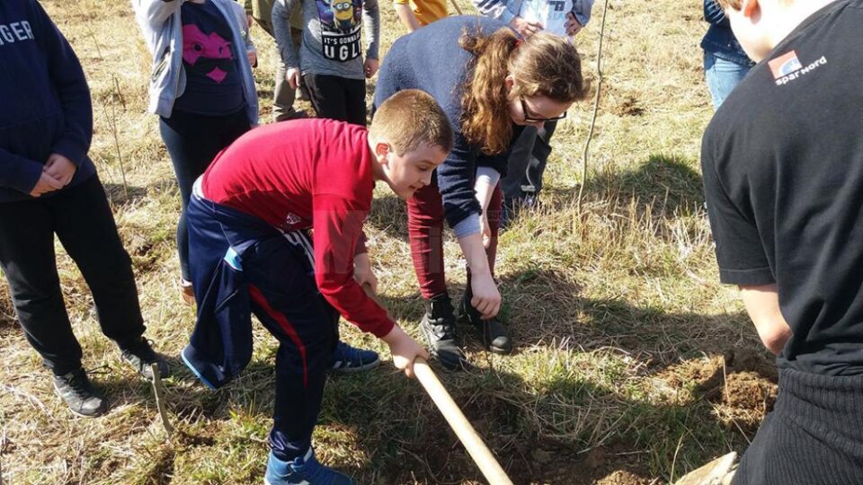 Activități din proiectul „Patrula Eco”