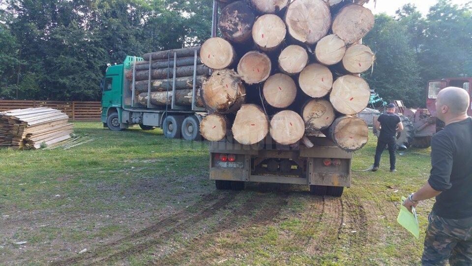 Transport ilegal de masă lemnoasă confiscat în Gura Humorului de Garda Forestieră și IPJ