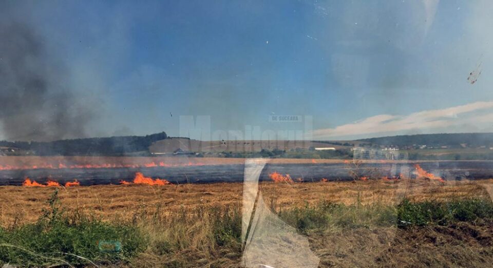 Incendiu vegetație