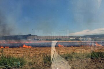 Incendiu vegetație