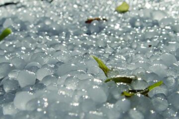 „Grindina a făcut prăpăd”