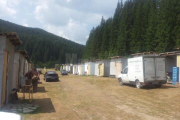 Taberele celor care culeg hribi și afine în această perioadă la Cârlibaba