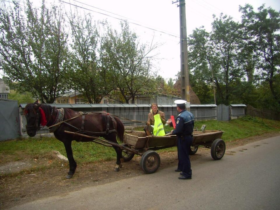 Acțiune de responsabilizare a căruțașilor care circulă pe drumurile din județ