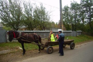 Acțiune de responsabilizare a căruțașilor care circulă pe drumurile din județ