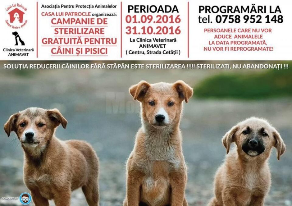 Campanie de sterilizare gratuită a câinilor fără stăpân