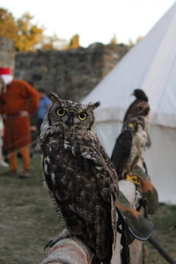 Zeci de mii de spectatori la cea de-a X-a ediție a Festivalului de Artă Medievală de la Suceava