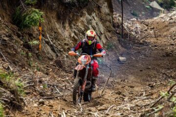 Sute de rideri din țară și de peste hotare, fermecați de frumusețea Bucovinei