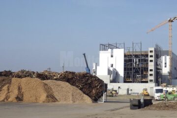 Lemnul de foc nu mai este luat în considerare la eliberarea de certificate verzi pentru producerea de energie electrică din surse regenerabile