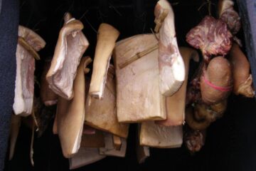 „Magazinele forestiere”