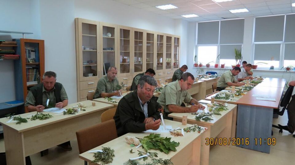 Concursul „Cel mai bun pădurar” din Suceava și-a desemnat câștigătorii