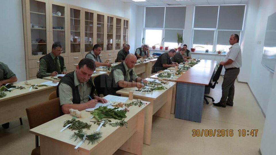 Concursul „Cel mai bun pădurar” din Suceava și-a desemnat câștigătorii