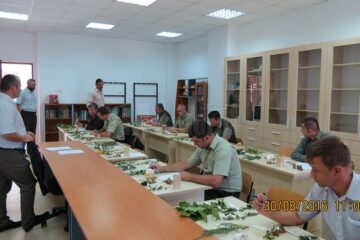 Concursul "Cel mai bun pădurar" a avut loc la finele lunii august