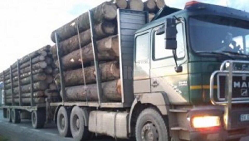 Pentru transportul de masă lemnoasă fără proveniență legală amenda s-a dublat, dar s-a introdus și confiscarea mijlocului de transport