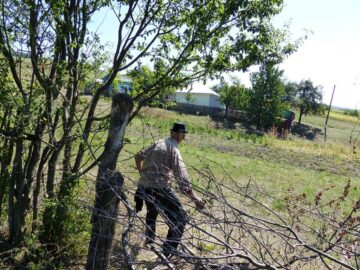 Bătrânul merge zilnic cu teamă spre casă