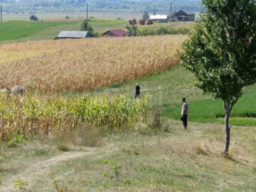 Drumul spre casă al unei familii, o teroare continuă, după ce relațiile de rudenie s-au transformat în dușmănie