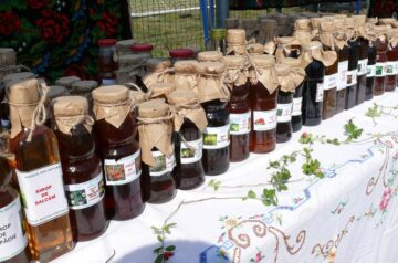 A XI-a ediție a Festivalului Fructelor de Pădure