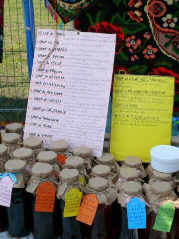 A XI-a ediție a Festivalului Fructelor de Pădure