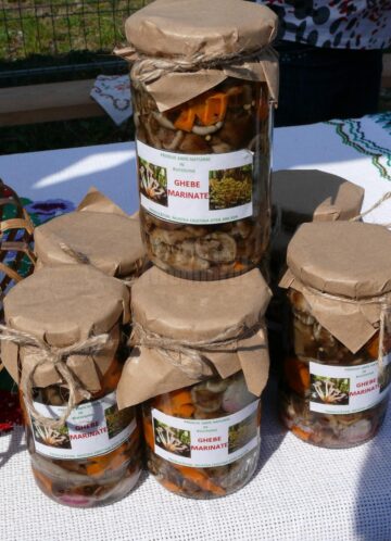 A XI-a ediție a Festivalului Fructelor de Pădure