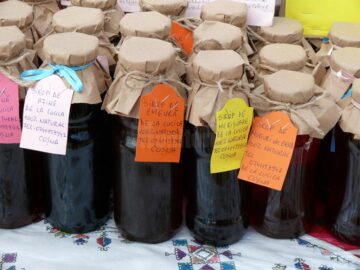 A XI-a ediție a Festivalului Fructelor de Pădure