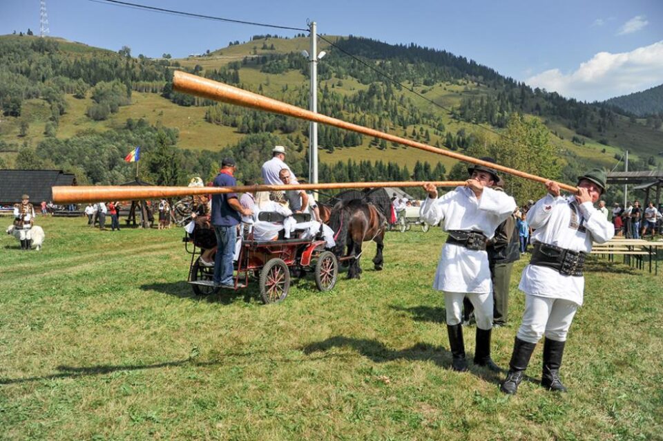 Răscolul oilor de la Botoș