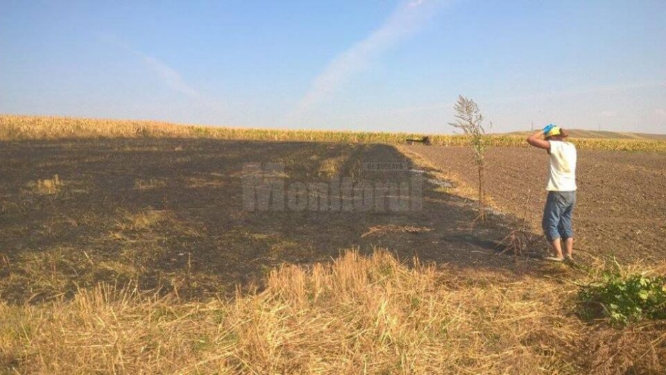 Pompieri intervenind pentru stingerea unui incendiu de vegetație uscată