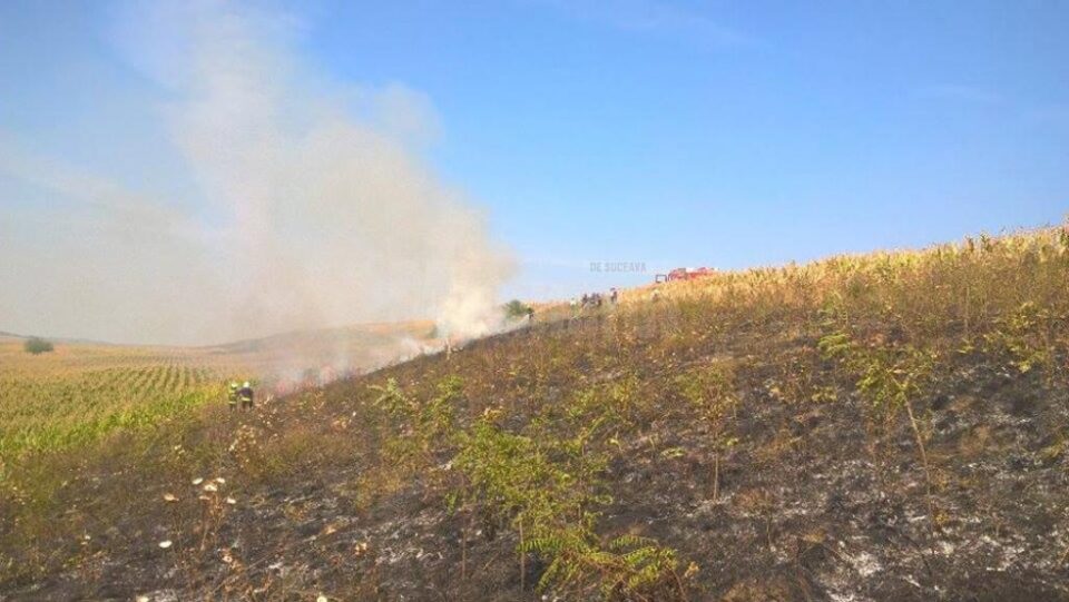 Pompieri intervenind pentru stingerea unui incendiu de vegetație uscată