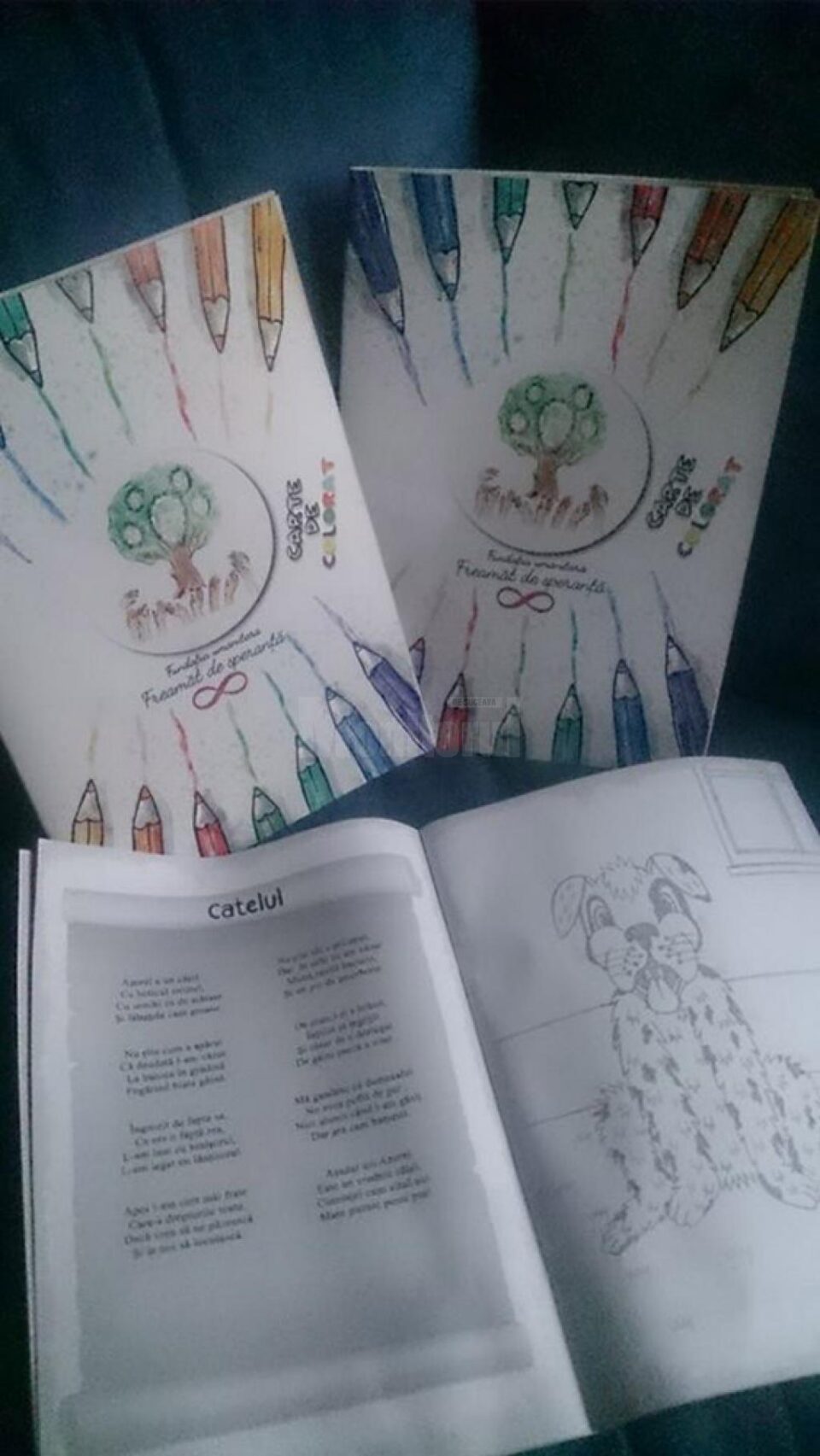 Asociația „Freamăt de Speranță” din Câmpulung Moldovenesc a lansat o carte de colorat în scop umanitar