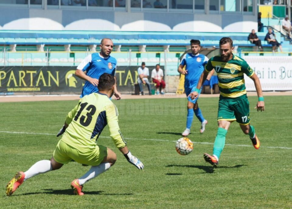 Foresta pe stadionul Areni