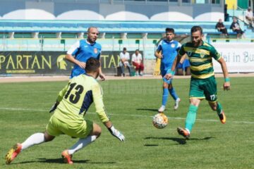 Foresta pe stadionul Areni