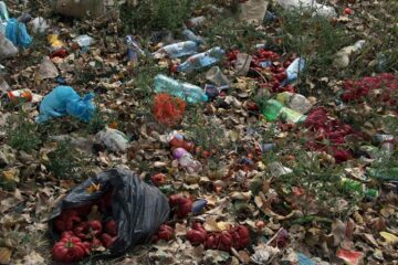 Gunoaiele nu au mai fost ridicate de mult timp, iar mirosul insuportabil a pus stăpânire pe întreaga zonă a pieței
