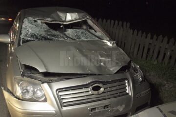 Autoturismul implicat în accidentul de pe DN 17, în care a fost ucis bătrânul care traversa drumul ducând un cal de căpăstru