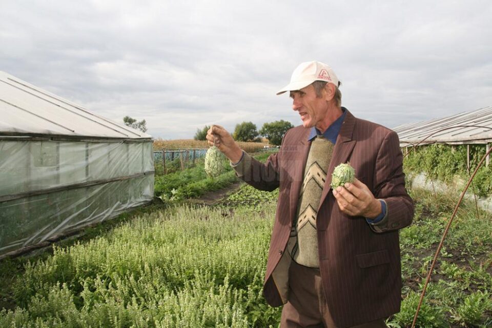 Fermierii s-au adunat pe terenurile fermierului Vasile Mătrășoaia, a cărui producție de legume a ajuns recunoscută
