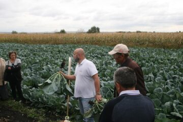 Folosirea de biostimulatori i-a interesat pe toți cei prezenți la Bursuceni