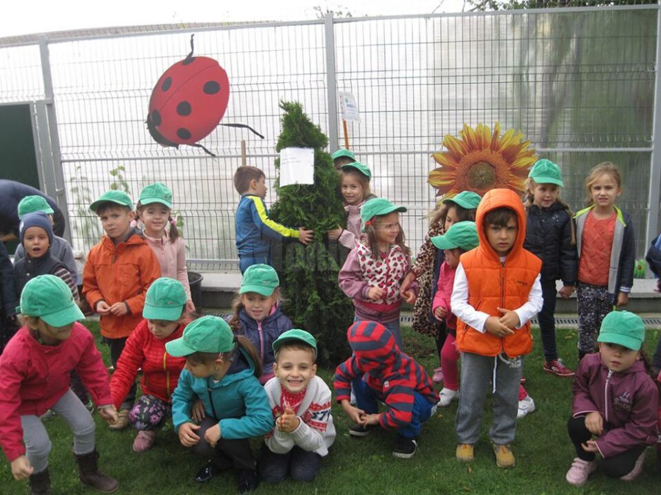 Campania ”Plant a tree for peace”
