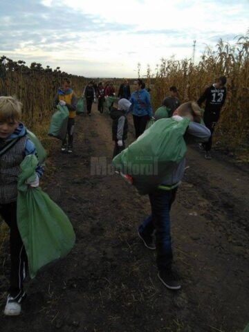 Voluntari din 33 de localități sucevene au adunat peste 10.300 de saci cu gunoi aruncat unde nu trebuie